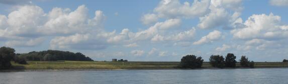 Testament und Nachlass